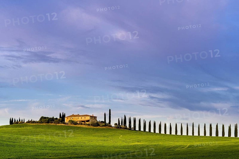 Typical green Tuscan landscape in Bagno Vignoni