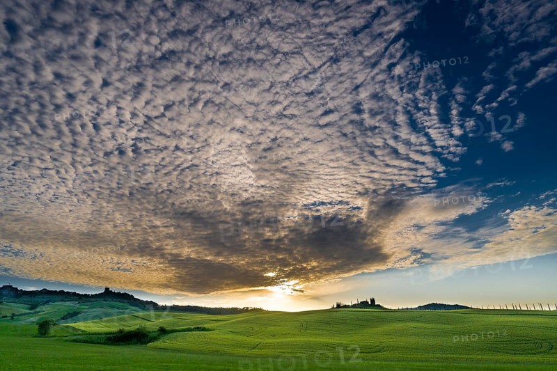 Typical green Tuscan landscape in Bagno Vignoni