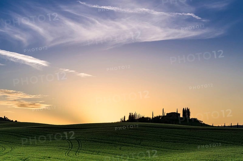 Typical green Tuscan landscape in Bagno Vignoni