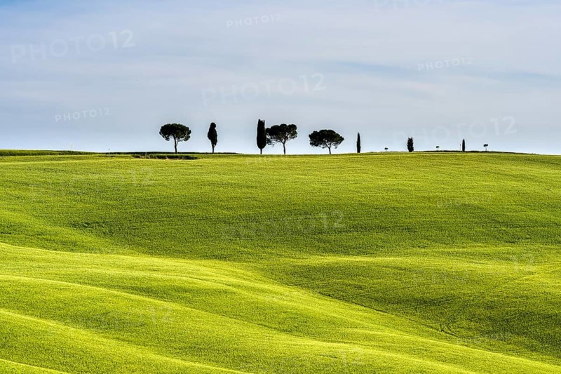 Typical green Tuscan landscape in Val d'Orcia with fields