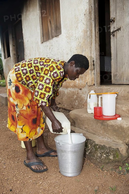 Woman filtering fresh milk to make sure it is clean