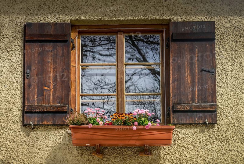 Old window with flower box and flowers