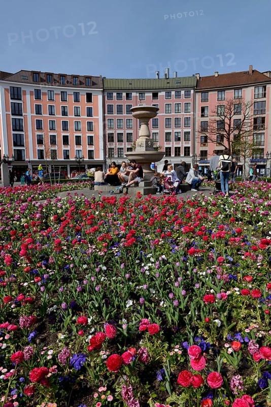 Flowerbeds at Gartnerplatz