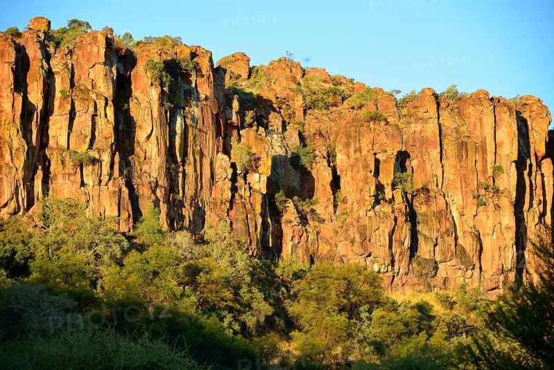 Waterberg