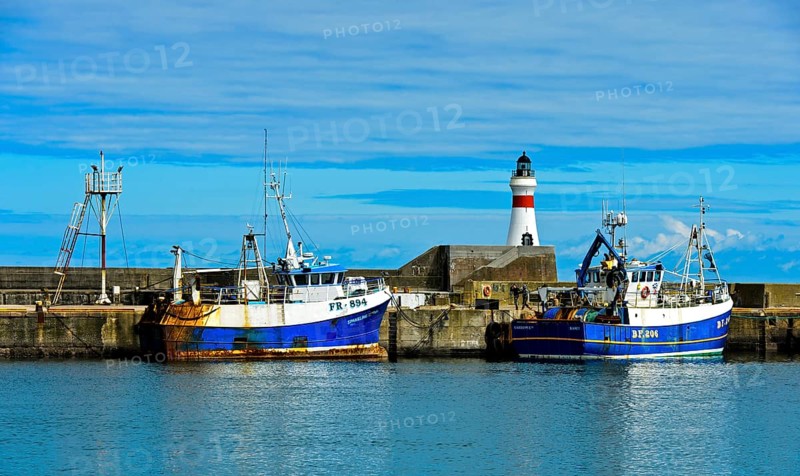 Trawler in the harbor