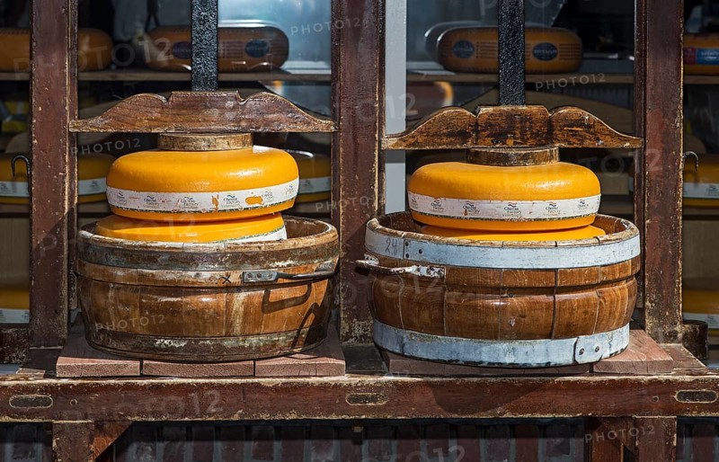 Traditional cheese press for Gouda cheese