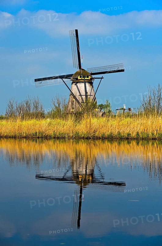 Dutch windmill on a canal