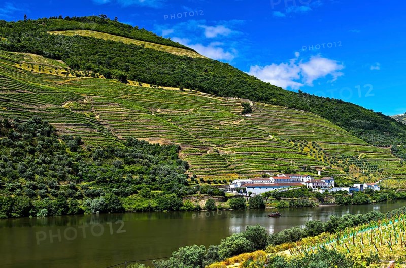 Winery Quinta das Carvalhas on the Douro River