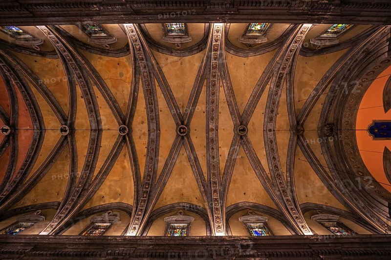 Vaulted ceiling