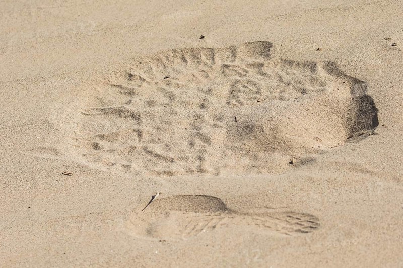 Foot print of Desert elephant and human in sand