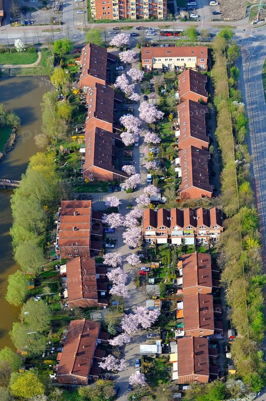 Green settlement Neu-Allermohe East