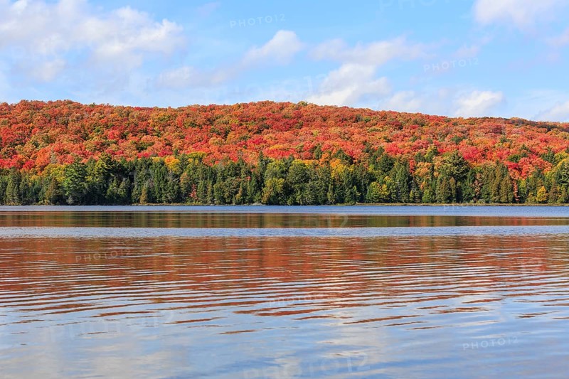 Canisbay Lake in Autumn