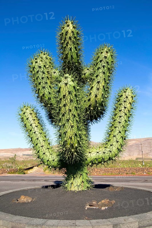 Giant green cactus sculpture
