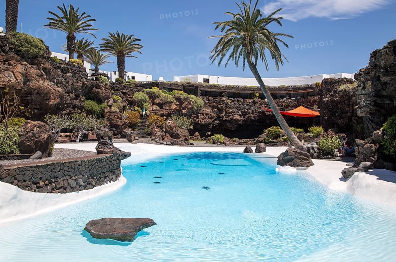 Tropical garden with swimming pool
