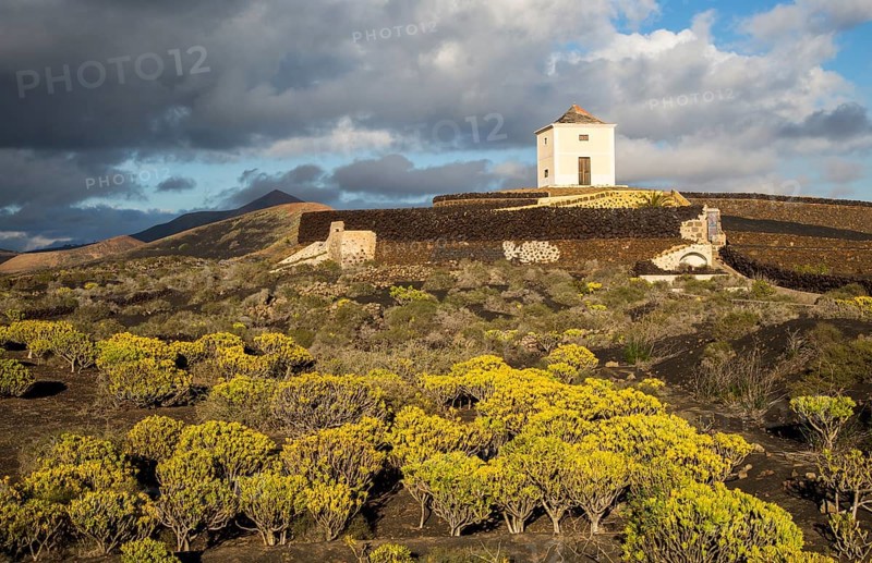 Molino Viejo