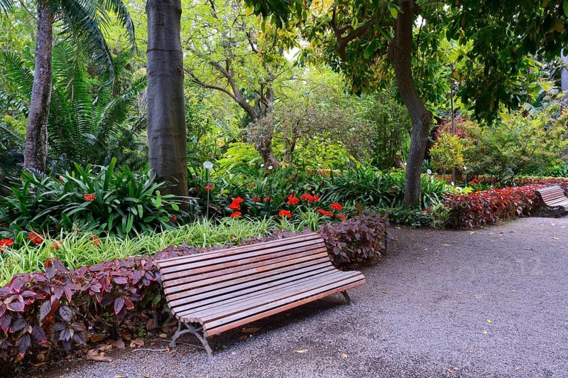 Park bench in the Jardin de aclimatacion de la Orotava