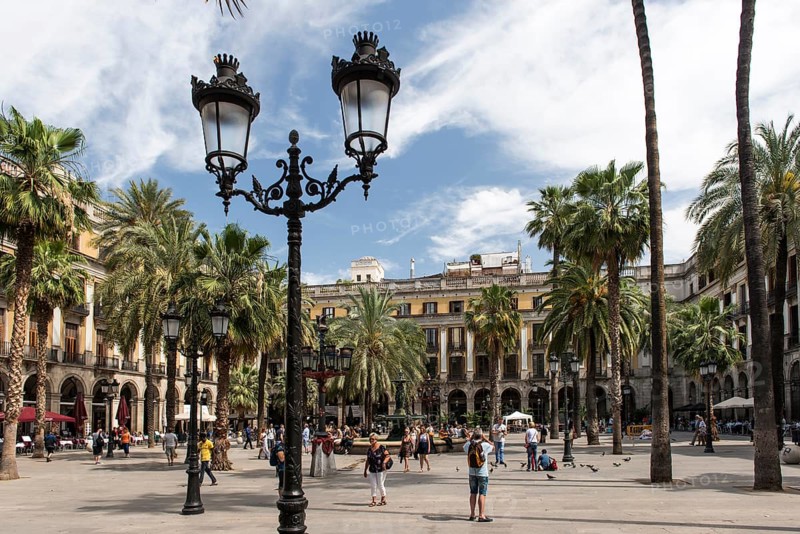 Placa Reial