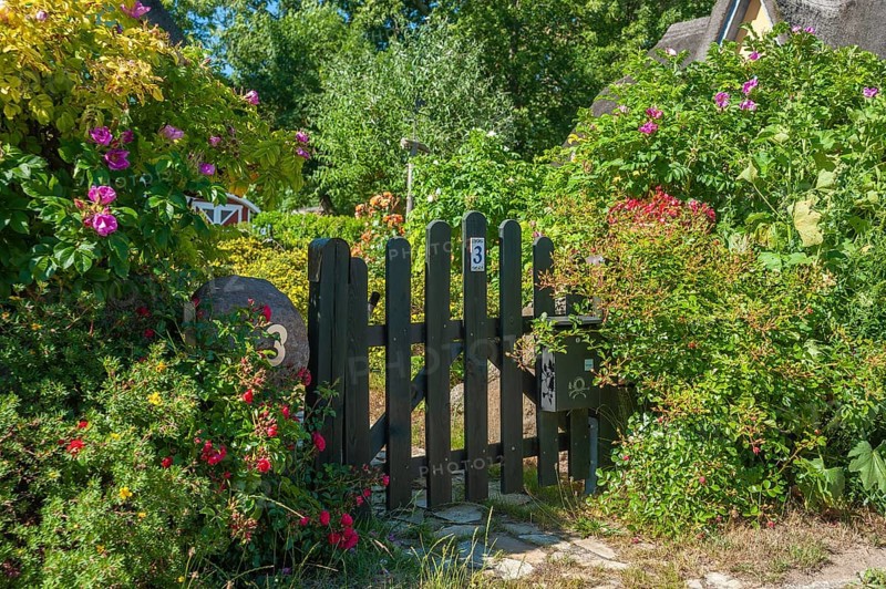 Garden door with roses