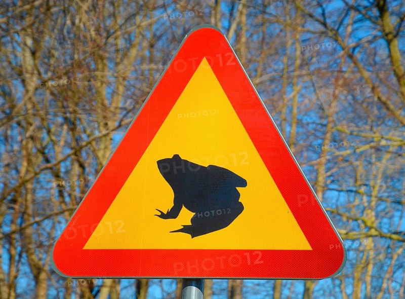 Sign for frog protection in Ystad sand forest