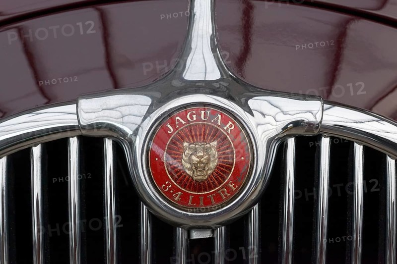 Emblem on radiator grill of 4 liter Jaguar 3
