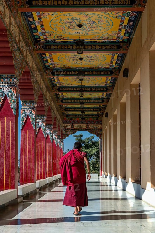 A young monk from Amitabha Monastery