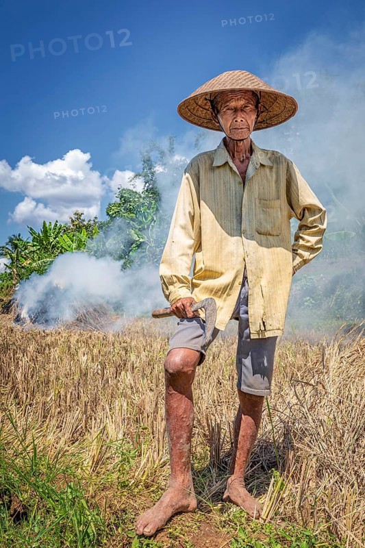 Indonesian rice farmer