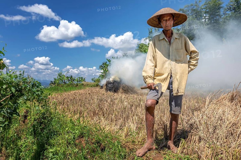 Indonesian rice farmer