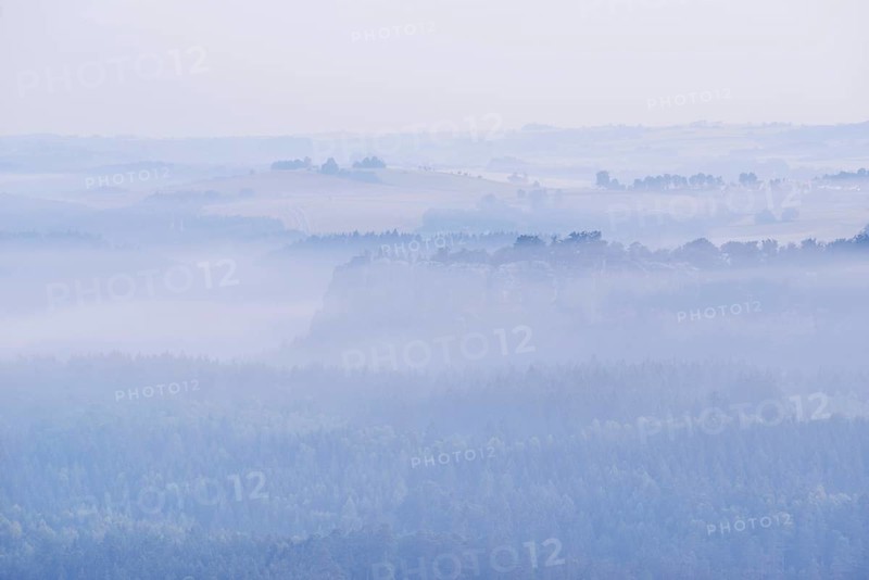 Dense morning fog