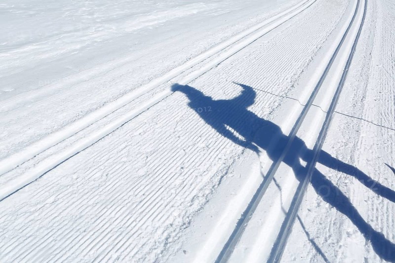 Shadow of a cross-country skier on a cross-country track