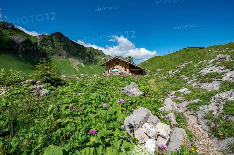 Alm am Schrecksee