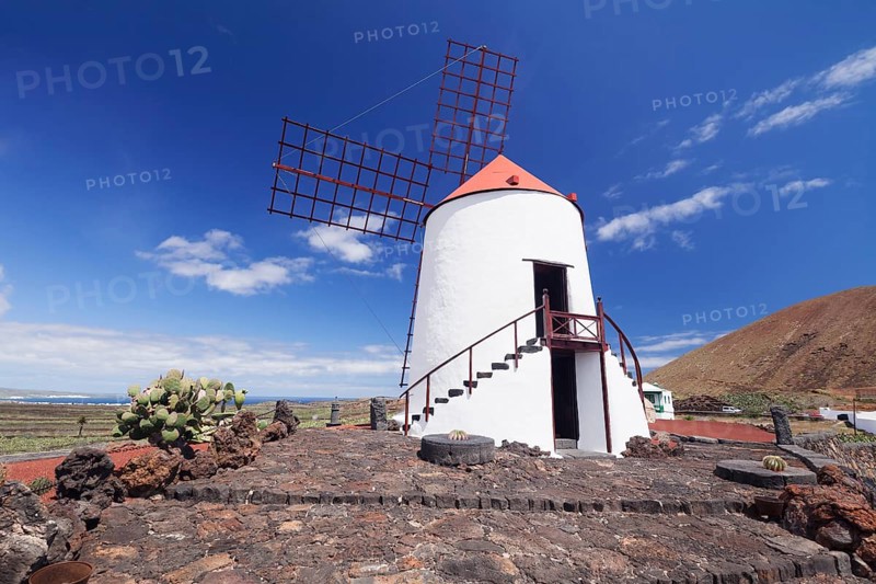 Windmill in Cactus Garden Jardin de Cactus by Cesar Manrique