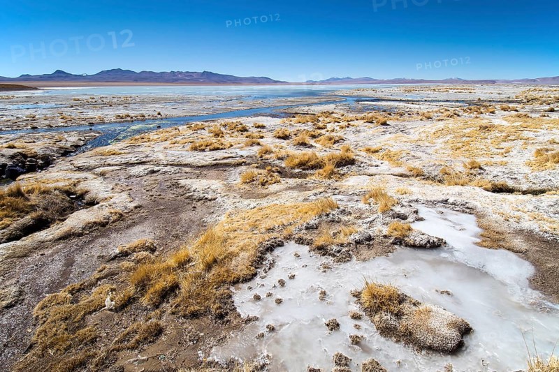 shore of Laguna Hedionda