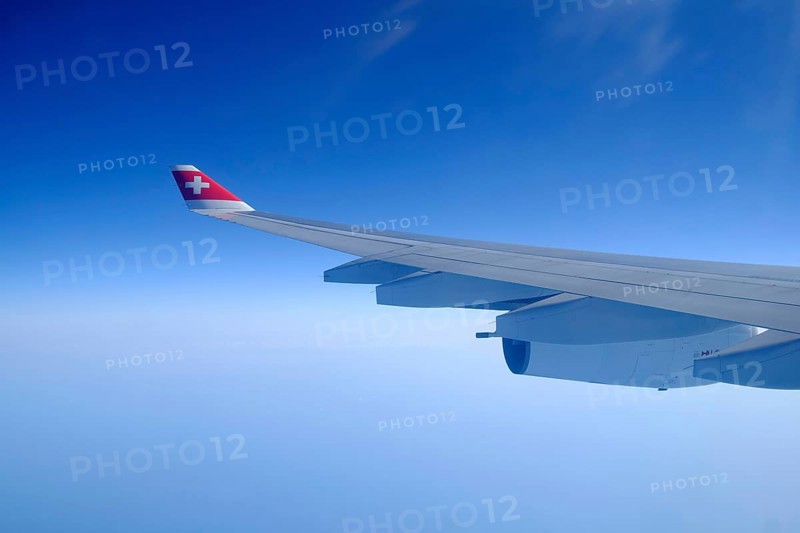 Left wing