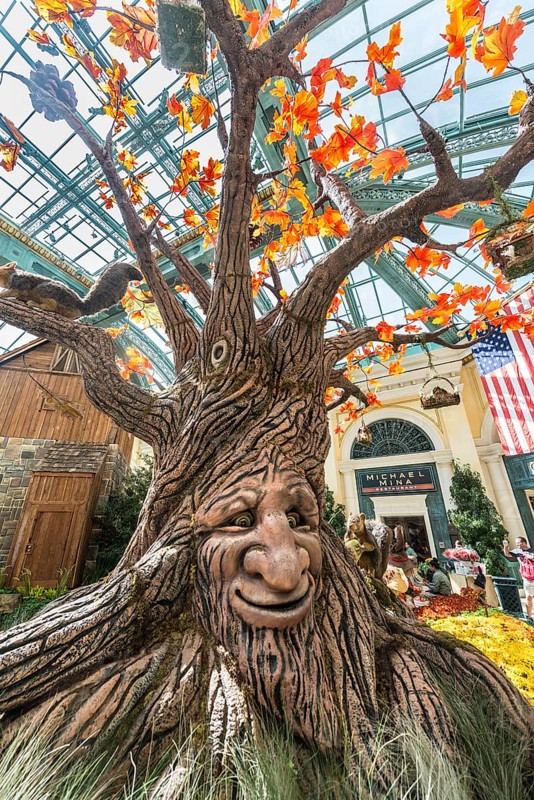 Talking Tree