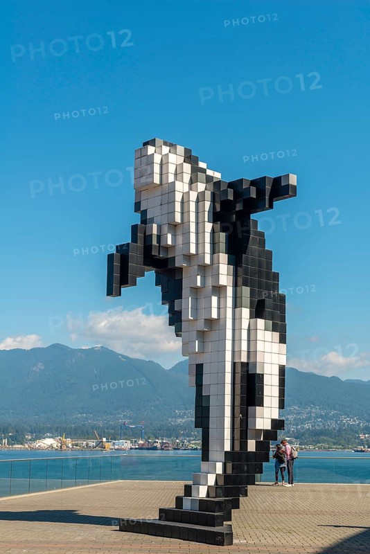 Sculpture Digital Orca