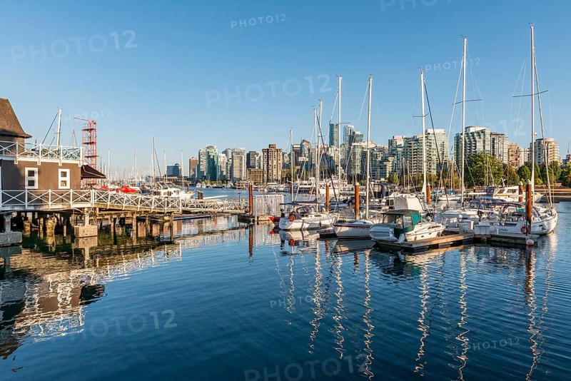 Marina with sailboats
