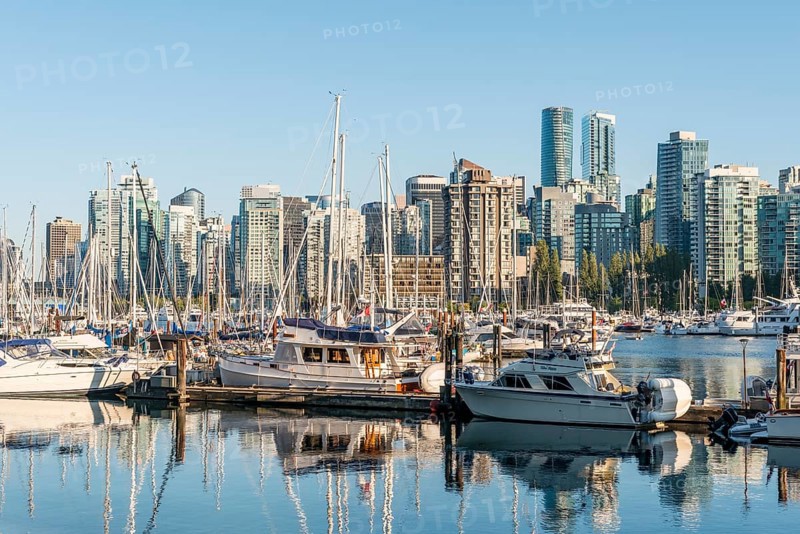 Marina with sailboats
