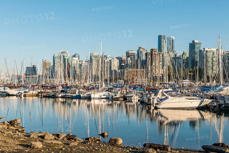 Marina with sailboats