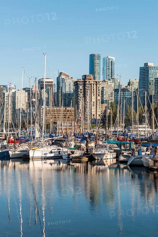 Marina with sailboats
