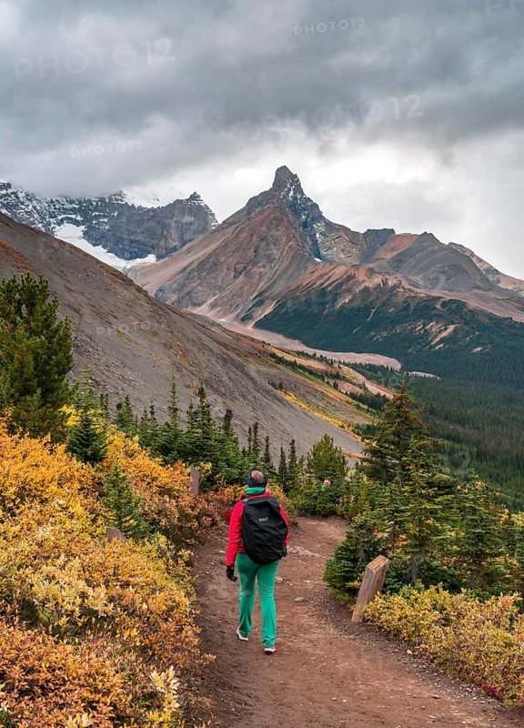 View to Mount Athabasca and Hilda Peak in autumn