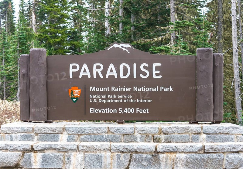Sign Paradise