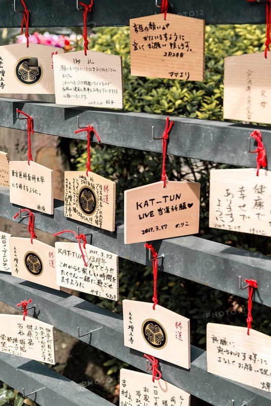 Wishes to deities on small wooden boards
