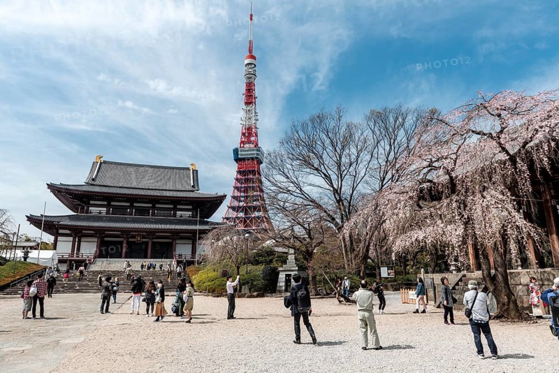 Tokyo Tower with Zojoji Temple