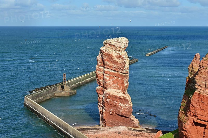 Rock needle