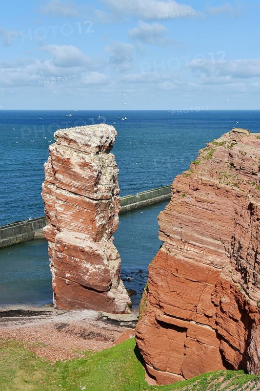 Rock needle