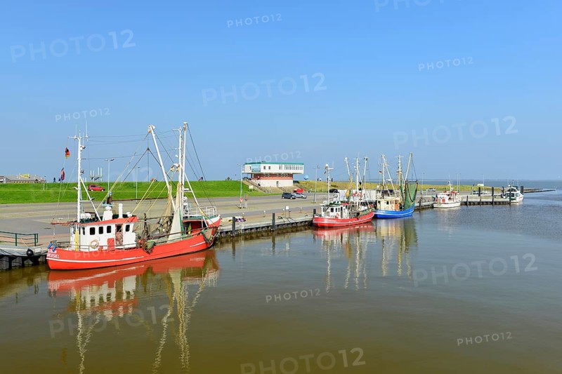 Fishing cutter in the harbour of Dorumersiel