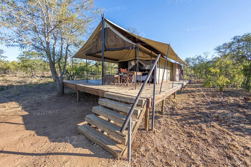 Safari camp and tent