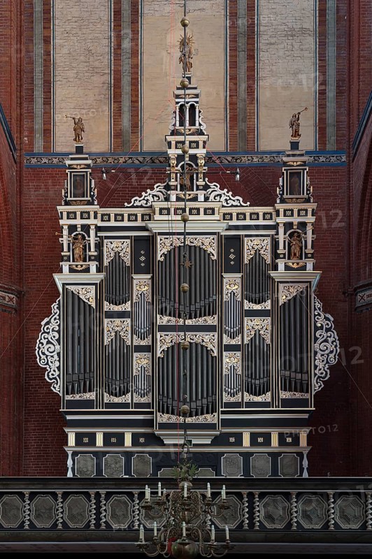 Organ