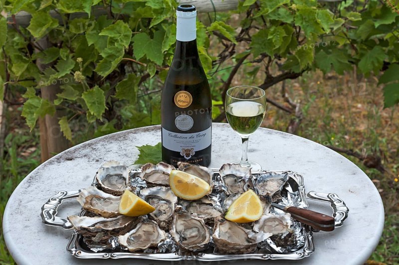 Fresh oysters (Ostreidae) with lemon and an oyster knife on a tray
