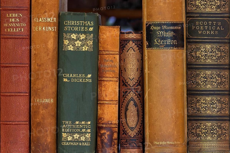 Spine of old classics